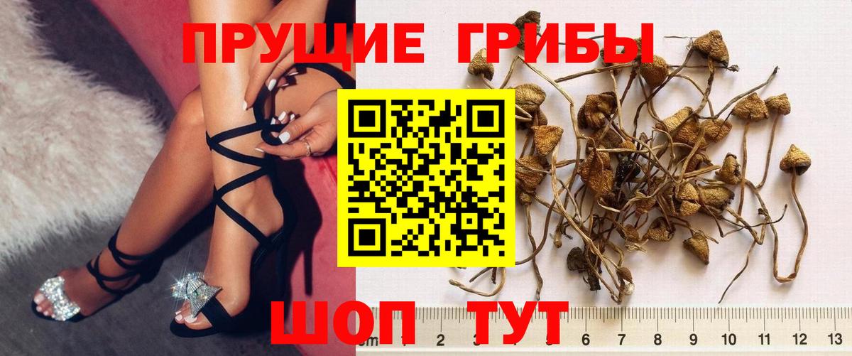 Псилоцибиновые грибы мухоморы  Вход с VPN  Сальск 