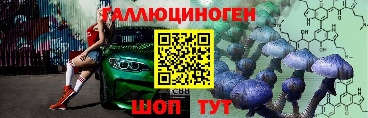 Псилоцибиновые грибы Psilocybe Сальск